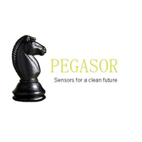 Pegasor Oy (Ltd)
