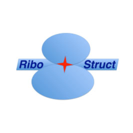 RiboStruct